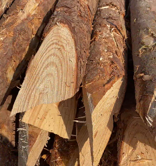 松木樁施工隊泓樺錦嘉 - 原木松木樁的最低起訂量是多少？