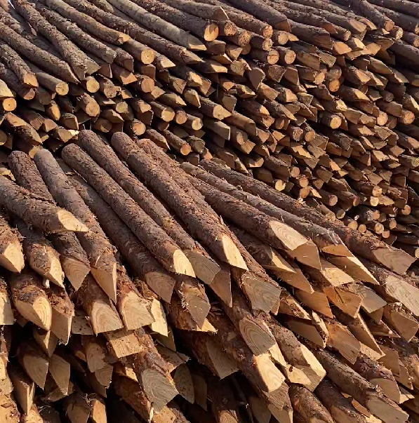 松木樁施工隊泓樺錦嘉 - 河道駁岸樁的檢測標準是什么？