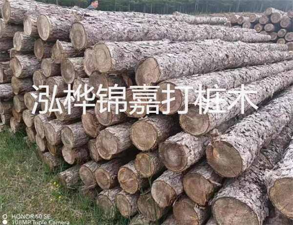 高效修補，保駕護航！水泥路面高強度修補料為您解決煩惱！