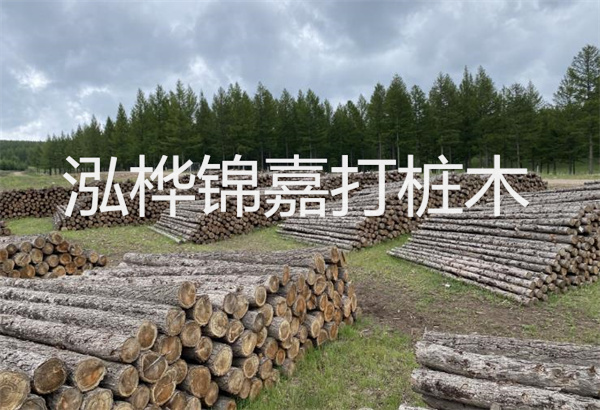 預(yù)制松木樁施工工藝：優(yōu)質(zhì)材料，高效快速，堅(jiān)固耐用