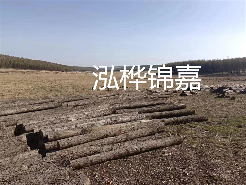 以質量為導向，探索實用性與高效性——仿松木樁施工機械價格