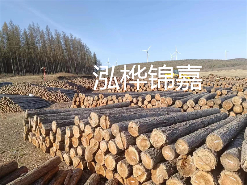 用路基松木樁施工方案提升工程質(zhì)量描述：了解路基松木樁施工方案的重要性，提高工程質(zhì)量關(guān)鍵詞：路基松木樁，施工方案，工程質(zhì)量