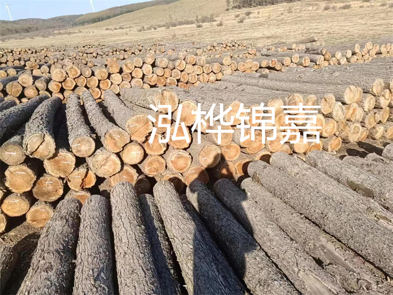 選擇合適的路緣石尺寸，打造美麗道路